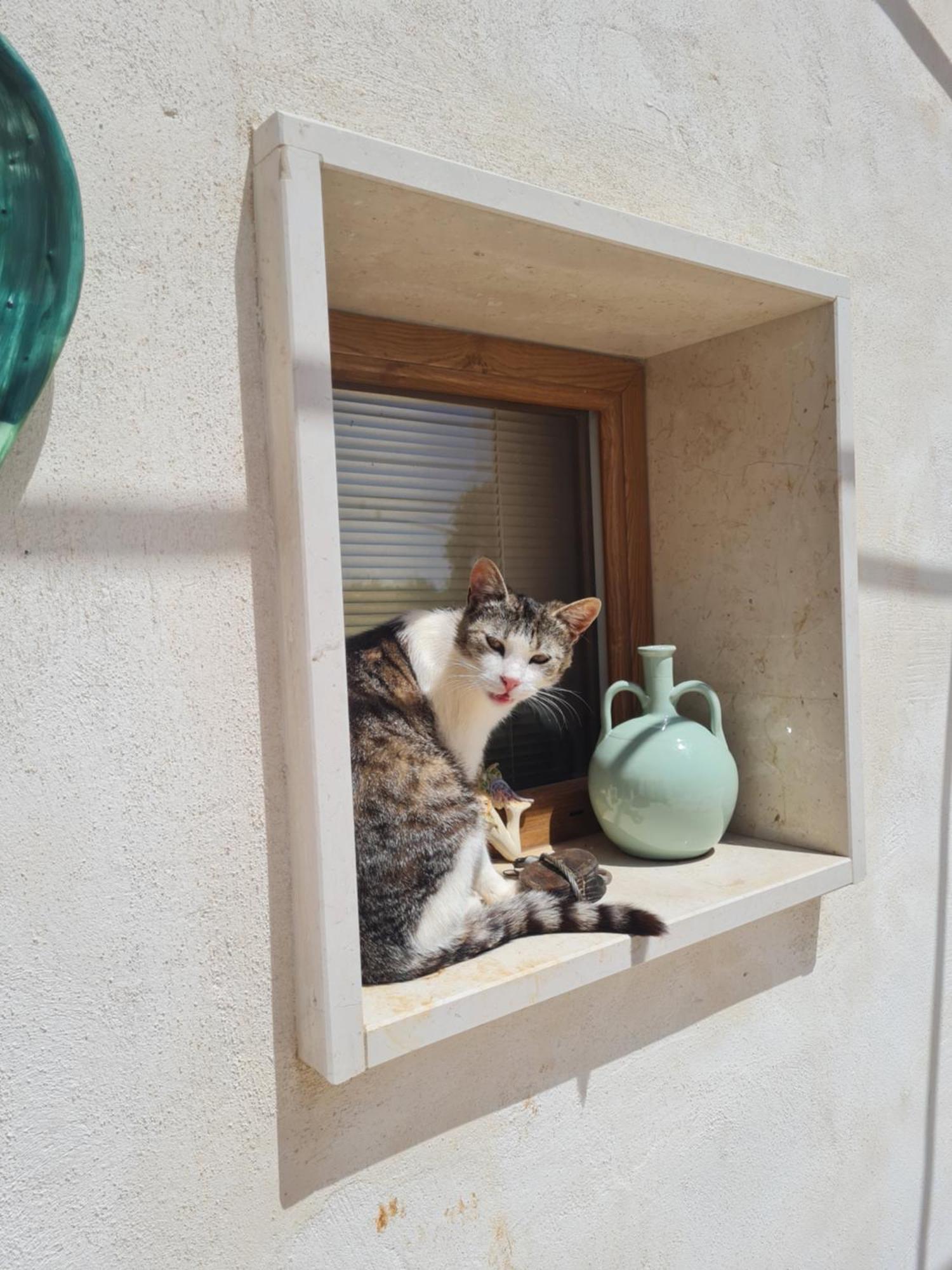 Apartament Casa 44Gatti Martina Franca Zewnętrze zdjęcie
